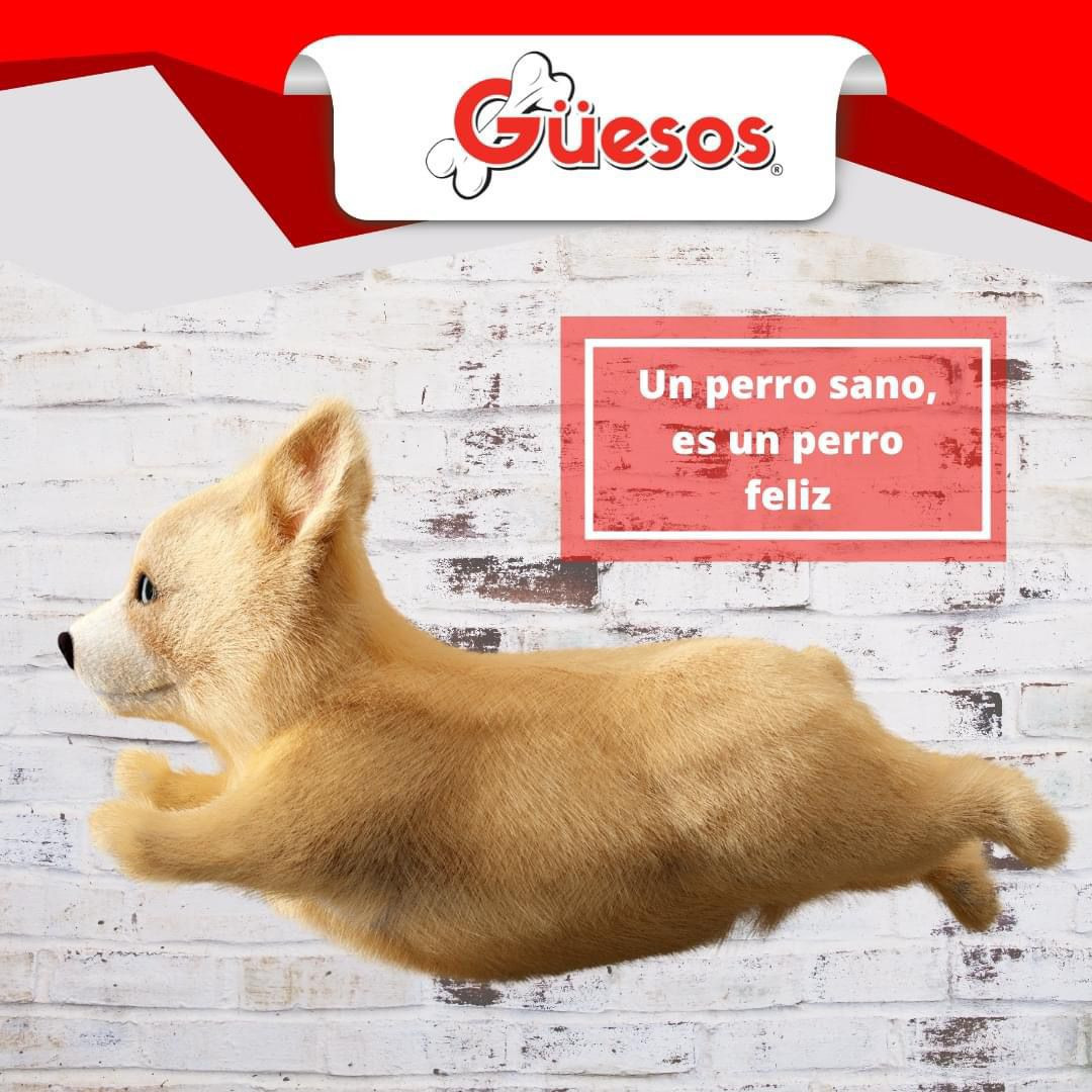 Guesos